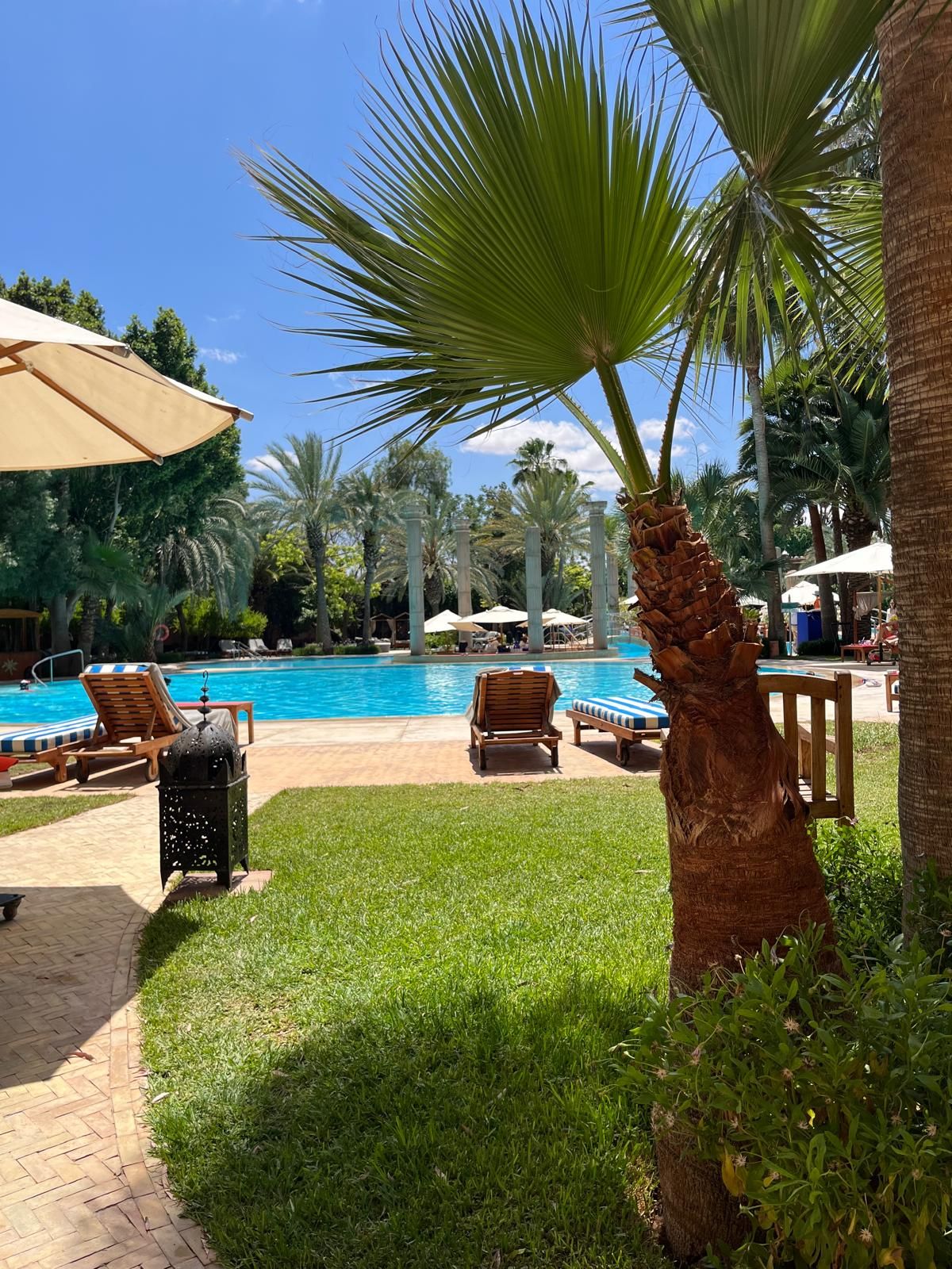 Piscine de l'Es Saadi bordée de palmiers